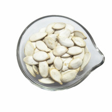 New Crop Cheap Snow White Pumpkin Seed 11mm Pumpkin Seeds For Sale